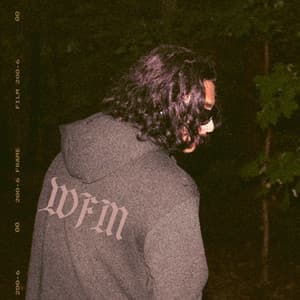 Imagem album sugestão Spotify