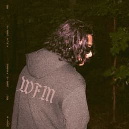 Imagem album sugestão Spotify